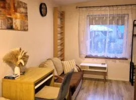 Nowoczesne Studio z ogrodem i parkingiem