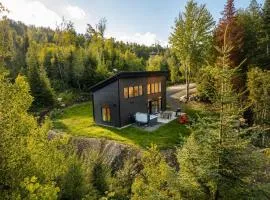 La Luxueuse Spa et Montagne de Ski Chalet NEUF