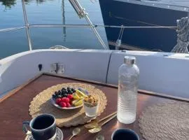 Velero Oceans Ontzi, Hendaya