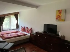 Violet Cozy Apartment - Bansko