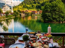 Deal Otel, hotel a Uzungöl