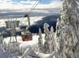 West Van Luxury Retreat 2BR 2BA Oceanview