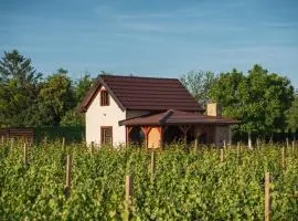 Vikendica Vinogradski mir Fruška Gora