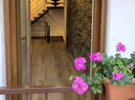 Casa das andorinhas