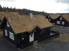 10 person holiday home in Rauland