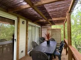 Chalet avec animaux OK - 6 pers. - API-1-52-2869