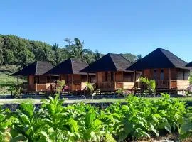 Surfers paradise cottages
