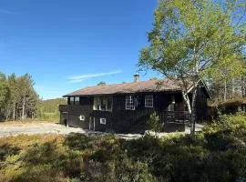 8 person holiday home in Hellandsjøen
