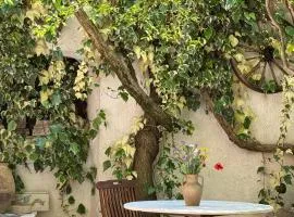 Le Foglie Di Acanto