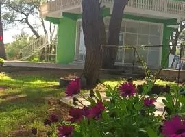 Vjosa River Rooms