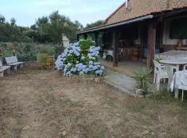 Quinta Real Kiwibee