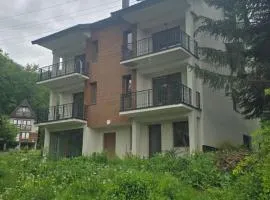 Pine Apartments Mavrovo