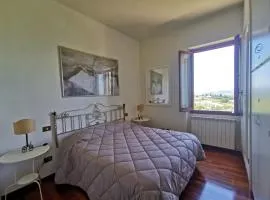 Mezzomonte View