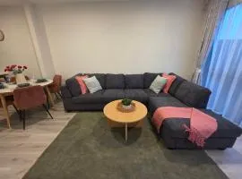The Mana Elephant Modern Milldale Stay