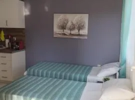 Αλέξανδρος 4