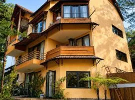 Bình Sơn Măng Đen home stay