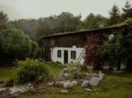 LEśNA chatka z Jacuzzi - Odludzie, Ogród, Cisza