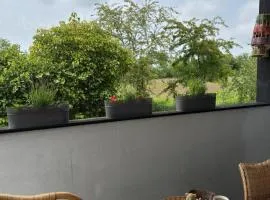 Natuurhuisje Abcoude - De Zwaan