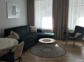 Apartament Miodownik