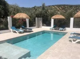 Stunning views, 3 bed, private pool, olive grove