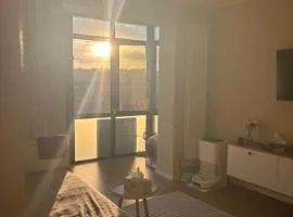 MOuntain View Apartment