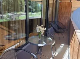 Bakuriani Kokhta Mitarbi Resort B2 211