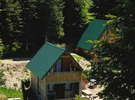 Mountain apartment-Komovi