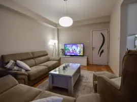 Polevski Apartment