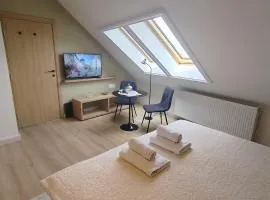 Vila Karlovčanka savršen boravak u srcu grada