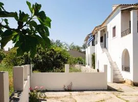 Vasilis Apartments South Corfu
