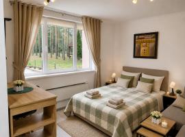 Apartmani Krčmarica 10、セルビアディヴツィバレのホテル