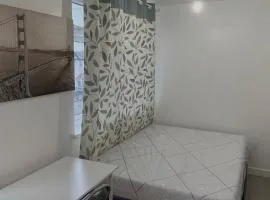 Private studio with a private bathroom and kitchenette