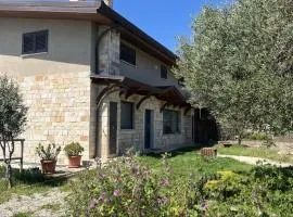 Suite del Colonnello B&b