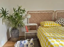 Otto Novalja, spacious penthouse apartment in city center