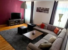 Old Town Ferhadija Apartment