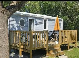 Mobil-home clim, animaux acceptés - 6 pers. - API-1-52-2876