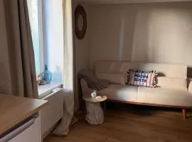Cozy independent apartment