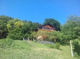 Apartman Potocki