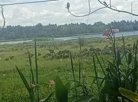 Yala Birds Paradise tree house