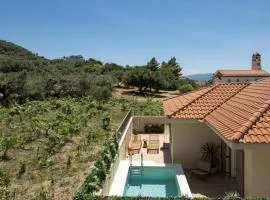 Anthos Villa