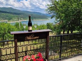 Zavojsko jezero - kuća Mitić, hotel v destinácii Pirot