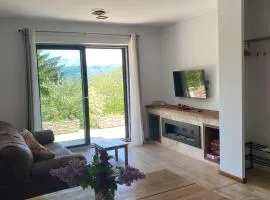 Stone Apartment with sauna Sinaia