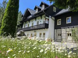 Bergnest im Prielkreuz - Großes Appartment im Ski und Wandergebiet