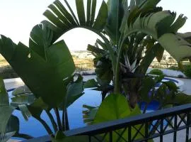 Apartment Regal Gardens 1- B105