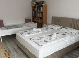 Wonderful apartment in the heart of Tuzla