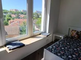 Brand new studio Penthouse #31 near center with FREE parking