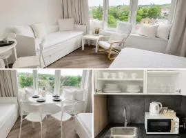 Brand new studio Penthouse #31 near center with FREE parking