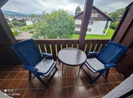 Aparthotel Bayerischer Wald - Zwiesel- Arber