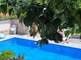 Vila Đul, hotel en Konjic