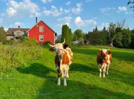Farm Stay Between Forests and Meadows